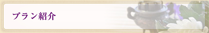 プラン紹介